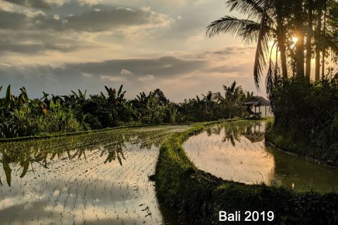 BALI 2019